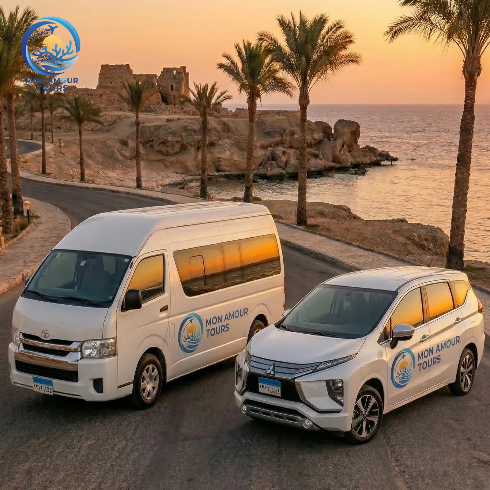 Transfer transfer/WhatsApp Image 2026-03-16 at 02-48-51.jpg